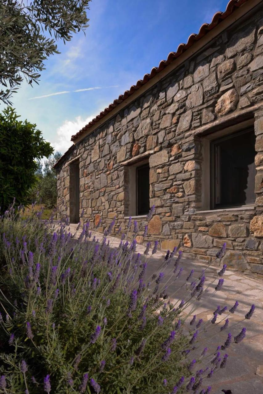Kladi House Renovated 2023 Vila Nikiti  Exterior foto